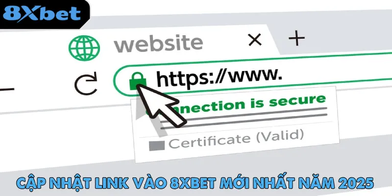 8xbet - Trang Chủ 8xbet.com Chính Thức | Nhà Cái Châu Âu 2 Link vào 8xbet truy cập siêu nhanh, an toàn tuyệt đối cho người mới